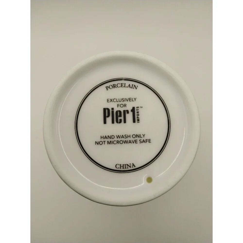 Pier 1 Everyday Is An Adventure Cup Mug Tumbler EUC